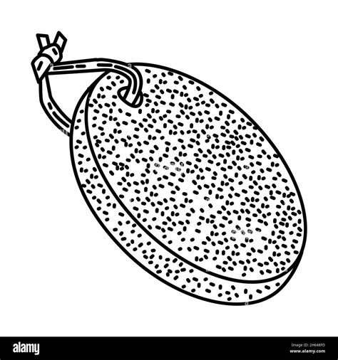 Illustration d'une pierre ponce utilisée pour le soin des pieds