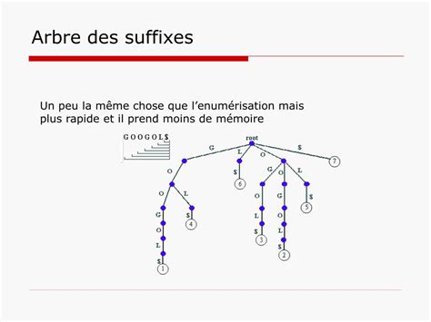 Illustration d'un arbre des suffixes