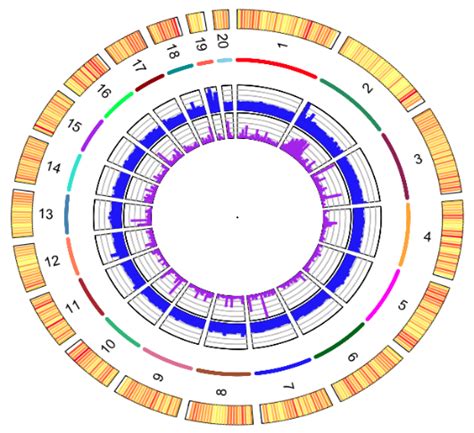 Visualisation circulaire des chromosomes du génome d'O. tauri, une pico-algue.