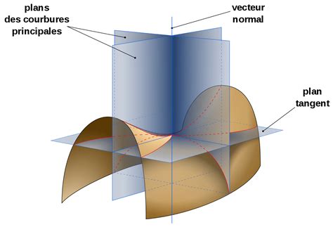 Représentation des courbures principales sur une surface