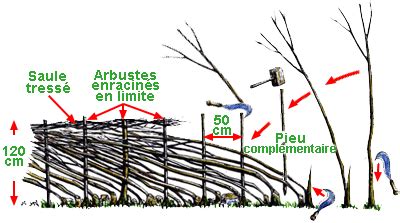 Illustration de la technique du plessage