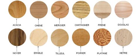 Illustration de différentes essences de bois pour lambris