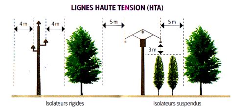 Arbre à proximité d'une ligne électrique aérienne