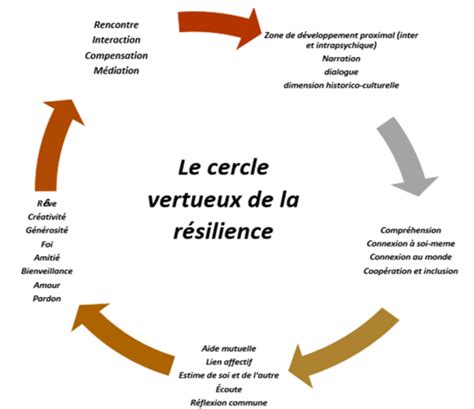 Cercle vertueux d'amélioration continue