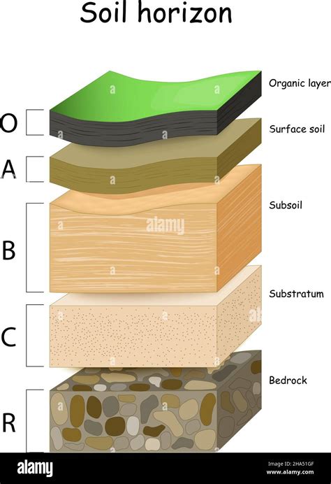 Coupe transversale d'un sol de grange révélant différentes couches de substrat