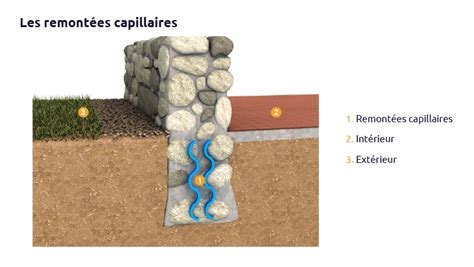 Illustration des remontées capillaires dans un mur