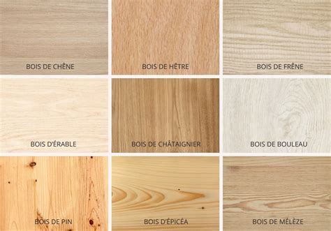 Tableau de présentation de différents types de bois nobles