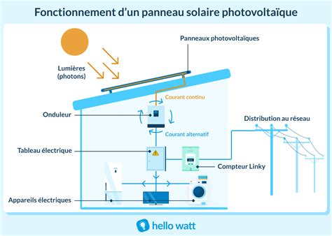 Schéma montrant les zones d'ensoleillement idéales pour un bassin de jardin