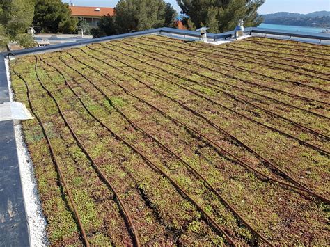 Pavillon de la nouvelle université d'Anglet avec toiture végétalisée sur pilotis