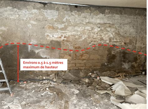 Remontées capillaires sur un mur