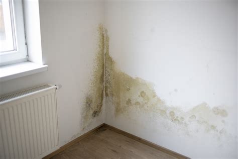 Traces d'humidité sur un mur