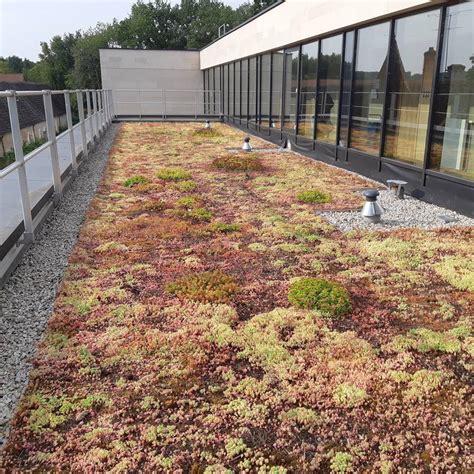 Vue aérienne d'une toiture-terrasse végétalisée