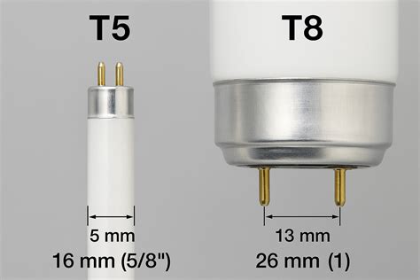 Comparaison des tubes néon T8 et T5