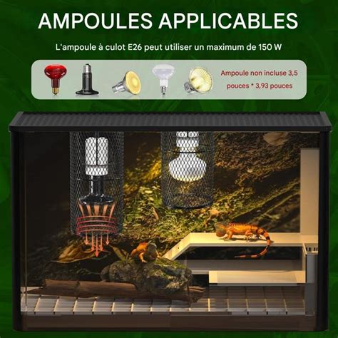 Exemple d'installation combinée de lampes chauffantes et UV dans un terrarium