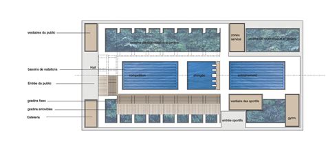 Schéma des dimensions d'une piscine olympique