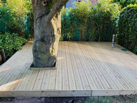 Structure de bois autour d'un jeune arbre