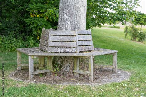 Diagramme montrant la circulation de l'air autour d'un tronc d'arbre protégé par un cloisonnement