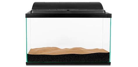 Aquarium avec de l'eau trouble après ajout de sable