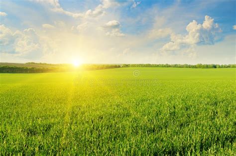 Lever de soleil sur une ferme avec des champs dorés