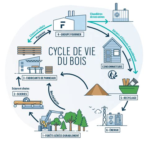 Infographie sur le cycle de vie du bois et les économies réalisées avec le contreplaqué déclassé