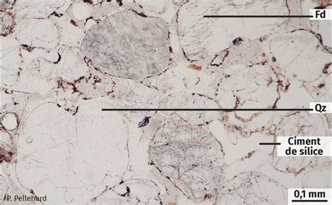 Image microscopique du ciment hydraté