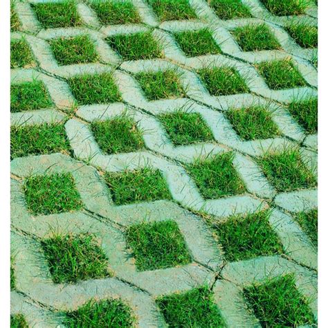 Dalle gazon béton avec herbe poussant à travers