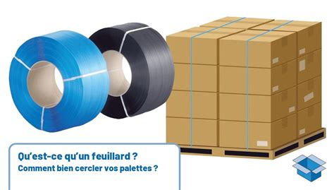 Infographie comparant les différents types de feuillards et leurs applications