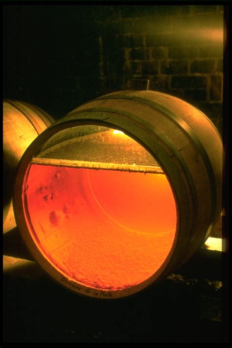Illustration d'un fût de vin avec voile de levures