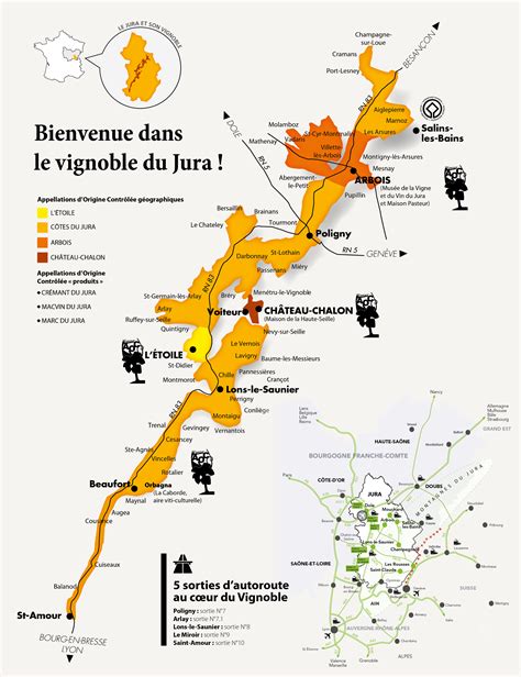 Vignoble jurassien avec des pentes douces