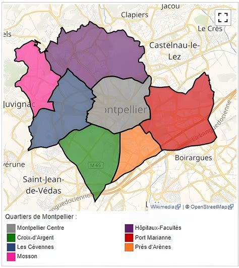 Carte de Montpellier mettant en évidence les différents quartiers