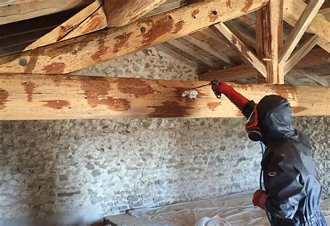 Application d'un décapant sur une poutre en bois