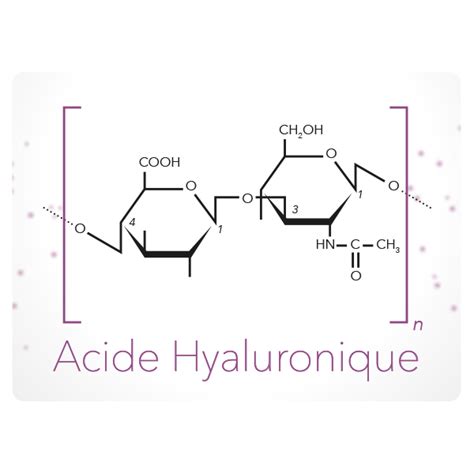 Structure moléculaire de l'acide hyaluronique