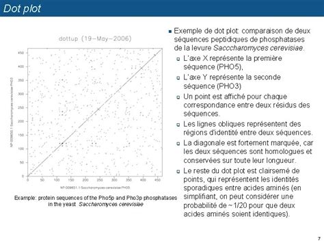 Représentation schématique d'un dot plot avec deux séquences alignées.