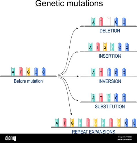 Représentation d'une délétion dans un dot plot.