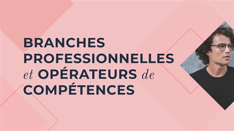 Structure d'une branche professionnelle