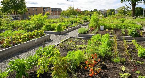 Jardin communautaire à Gênes, exemple de régénération urbaine