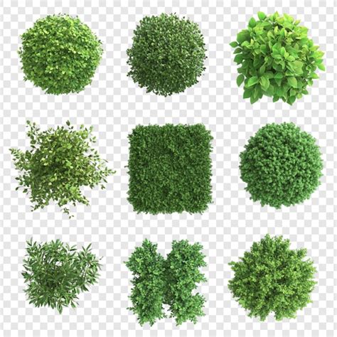 Vue aérienne d'un jardin paysager avec divers types de plantations